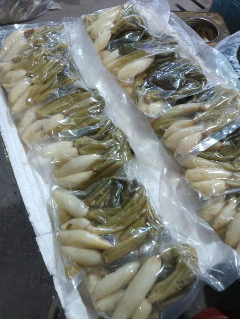 宁化萝卜酸菜货源充足量大从优一手货源欢迎咨询