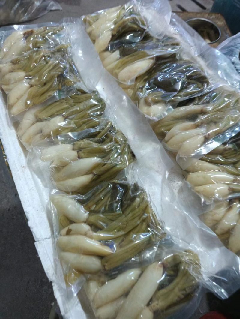 宁化萝卜酸菜货源充足量大从优一手货源欢迎咨询