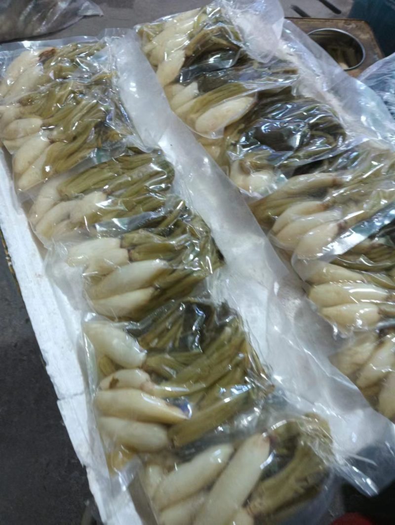 宁化萝卜酸菜货源充足量大从优一手货源欢迎咨询