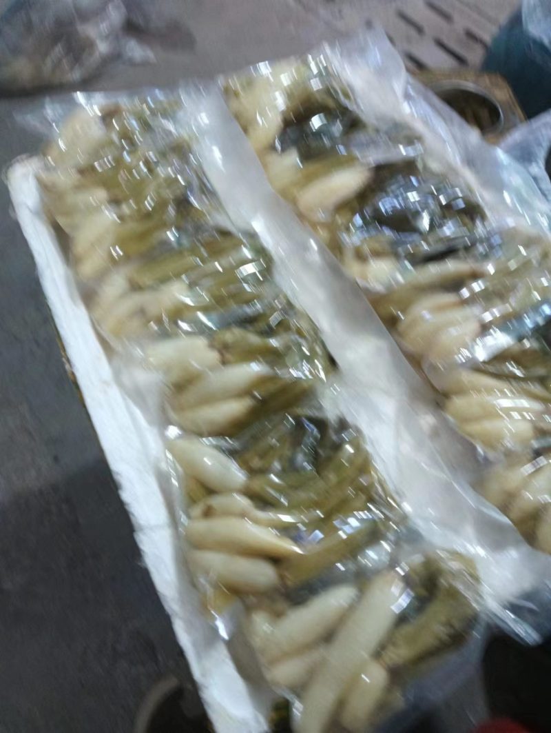 宁化萝卜酸菜货源充足量大从优一手货源欢迎咨询