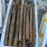 精品山药一手货源量大从优欢迎咨询