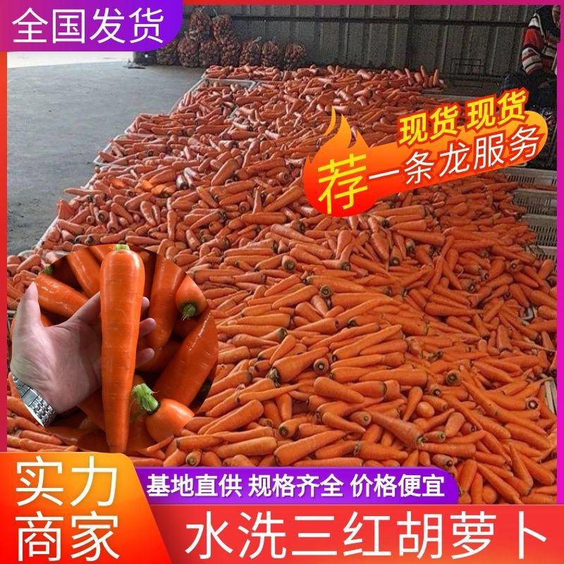 《精选》河南通许胡萝卜，水洗三红胡萝卜，货源充足，基地直供