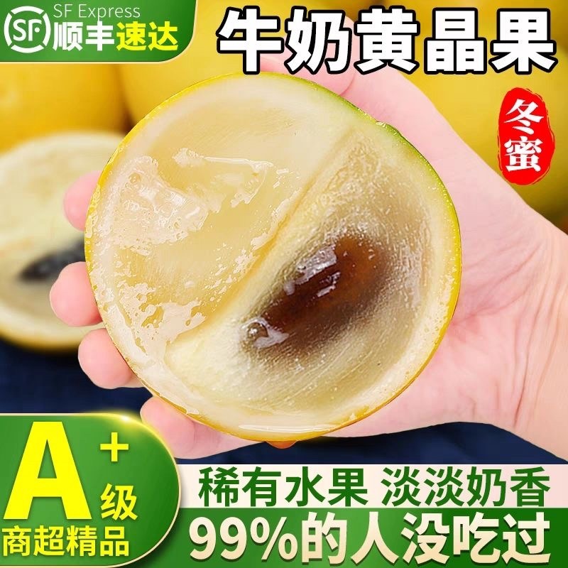 云女版纳冬蜜牛奶黄晶果新鲜黄金果批发顺丰包邮热带果