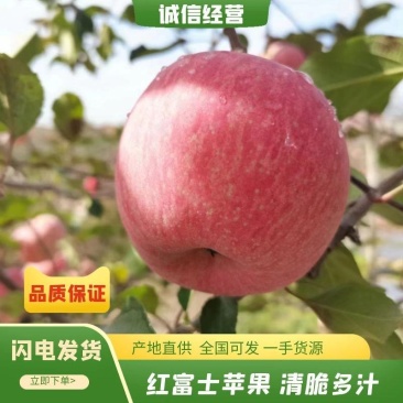 红富士苹果，苹果，供货稳定，市场价格透明，可视频看货