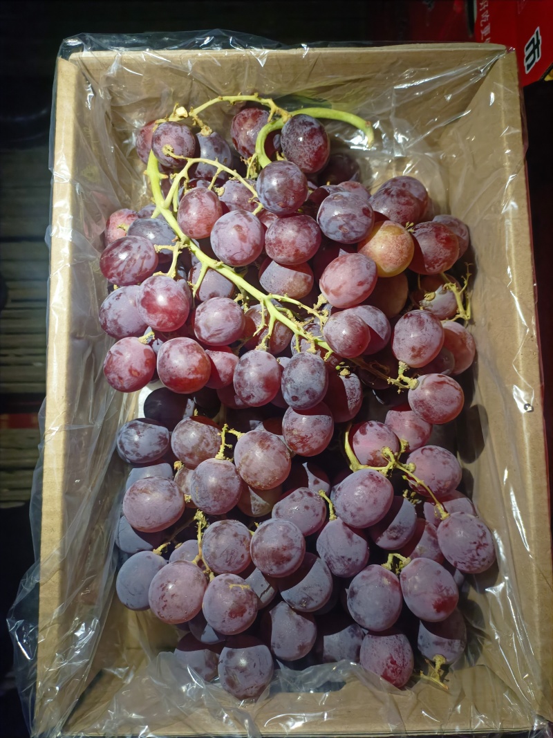 葡萄，红提礼盒，巨峰礼盒，一手货源，适合电商超市市场