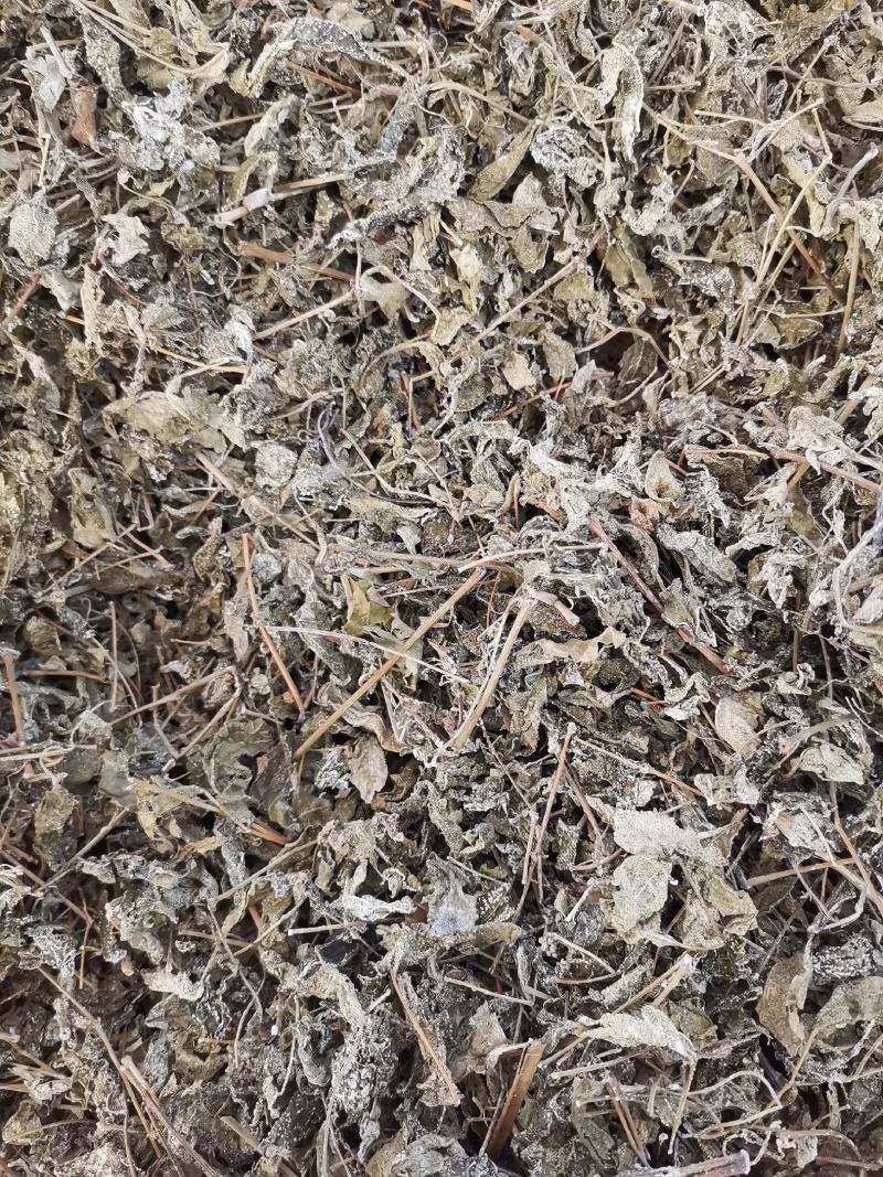 溪黄茶，新货全年大量供应，欢迎来电搔扰