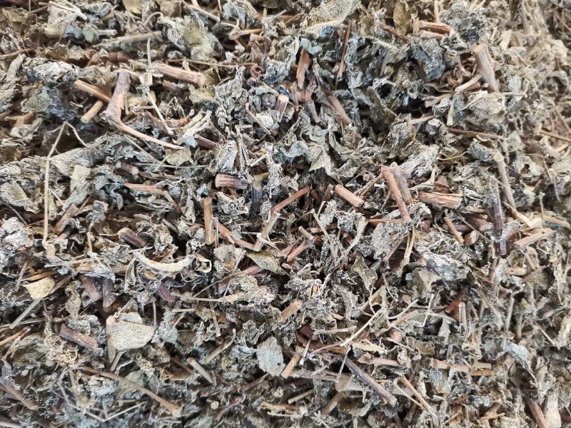 溪黄茶，新货全年大量供应，欢迎来电搔扰