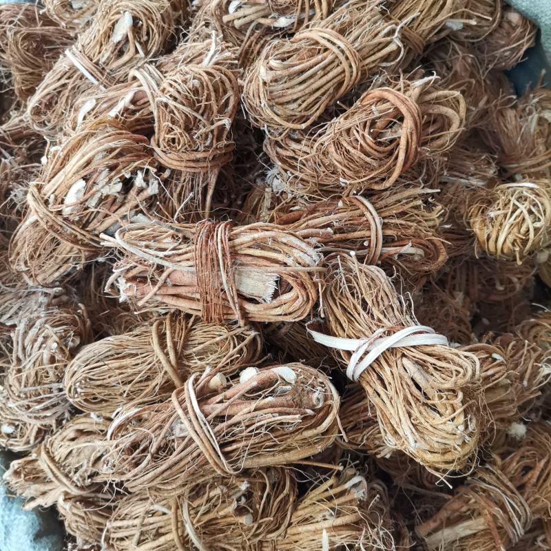 五指毛桃，香味浓，卖相好，有看上眼的老板给我来电
