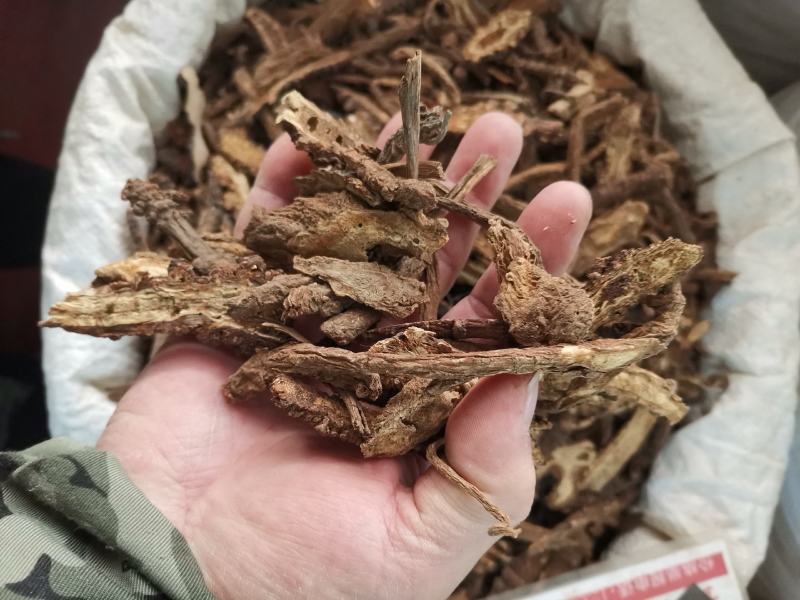 羌活，中药材全年大量供应，有需要的老板请打电话联系我