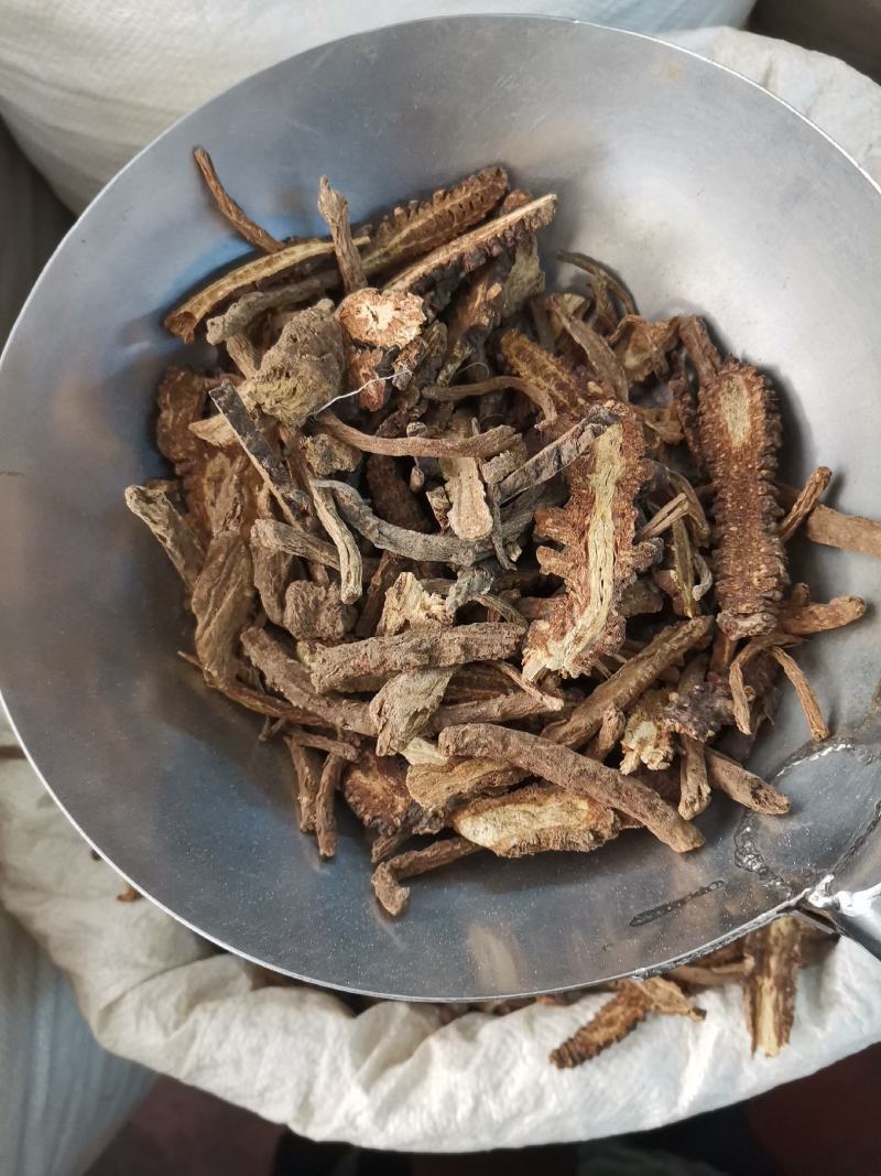 羌活，中药材全年大量供应，有需要的老板请打电话联系我