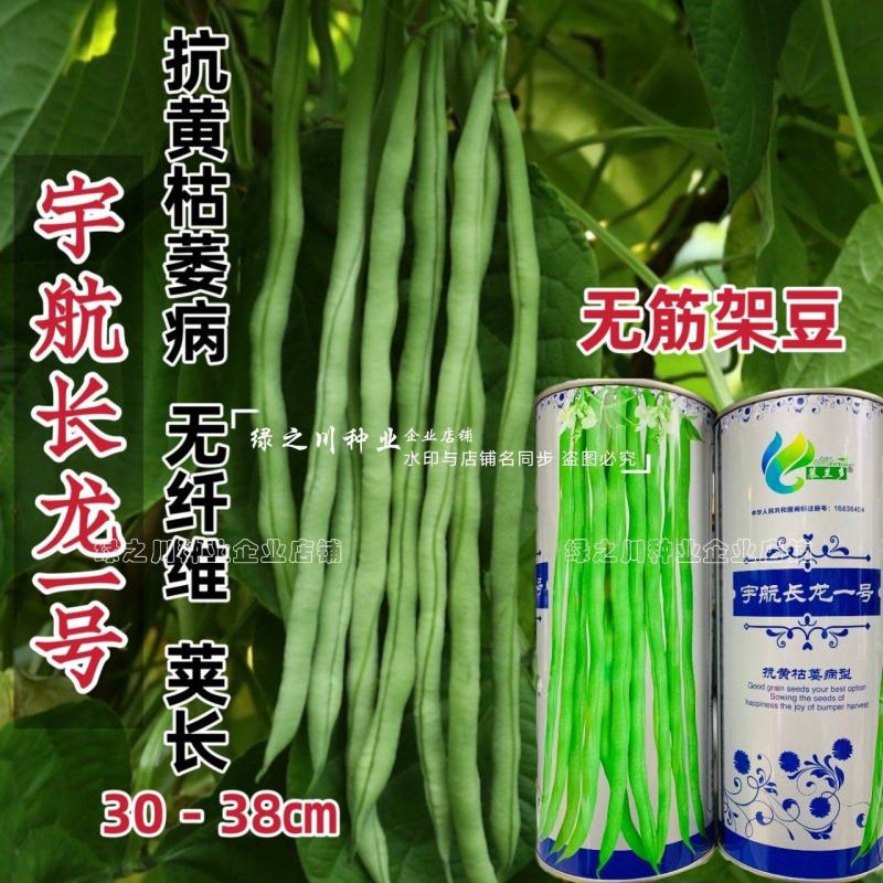 抗黄枯萎病架豆王种子宇航长龙一号无筋豆种子四季加长豆角