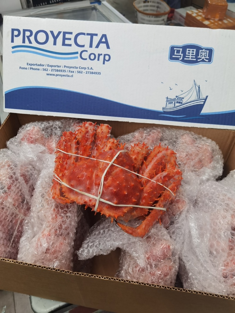 熟冻帝王蟹
