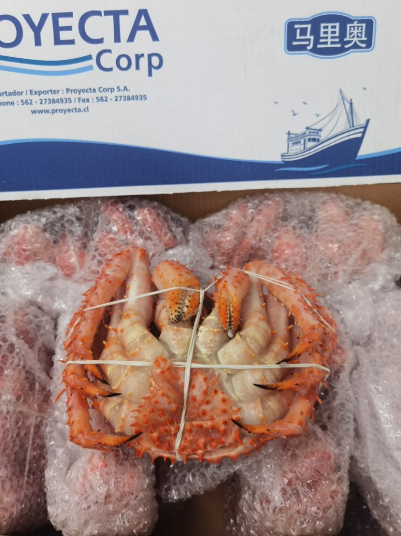 熟冻帝王蟹