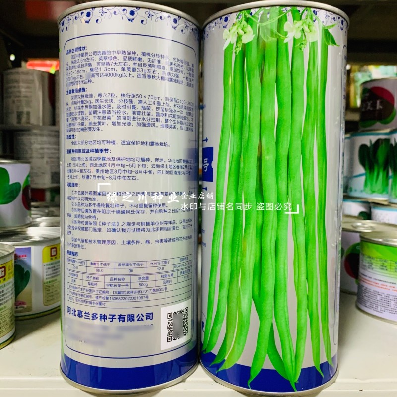 抗黄枯萎病架豆王种子宇航长龙一号无筋豆种子四季加长豆角