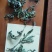 薄荷叶