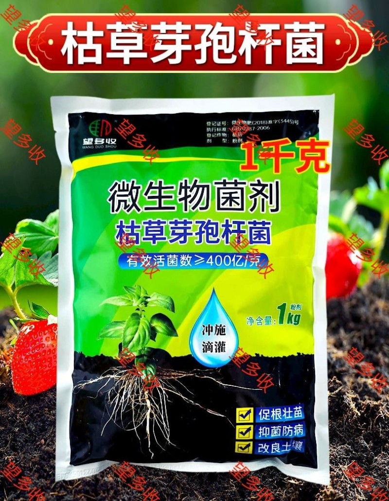 400亿枯草芽孢杆菌抗板结增肥活菌一包2亩地1000克菌