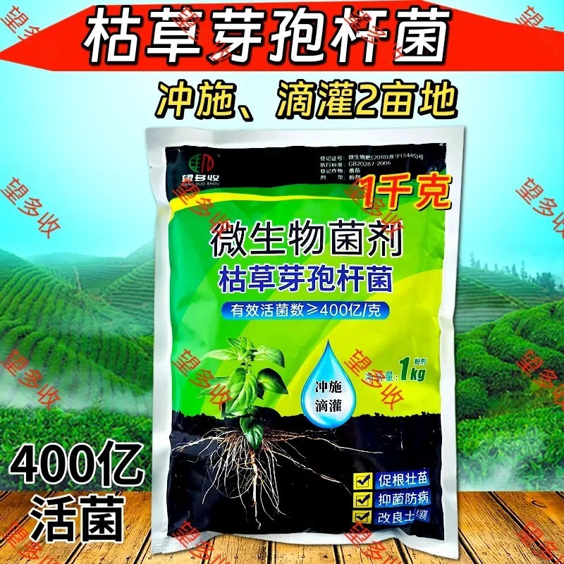 400亿枯草芽孢杆菌抗板结增肥活菌一包2亩地1000克菌