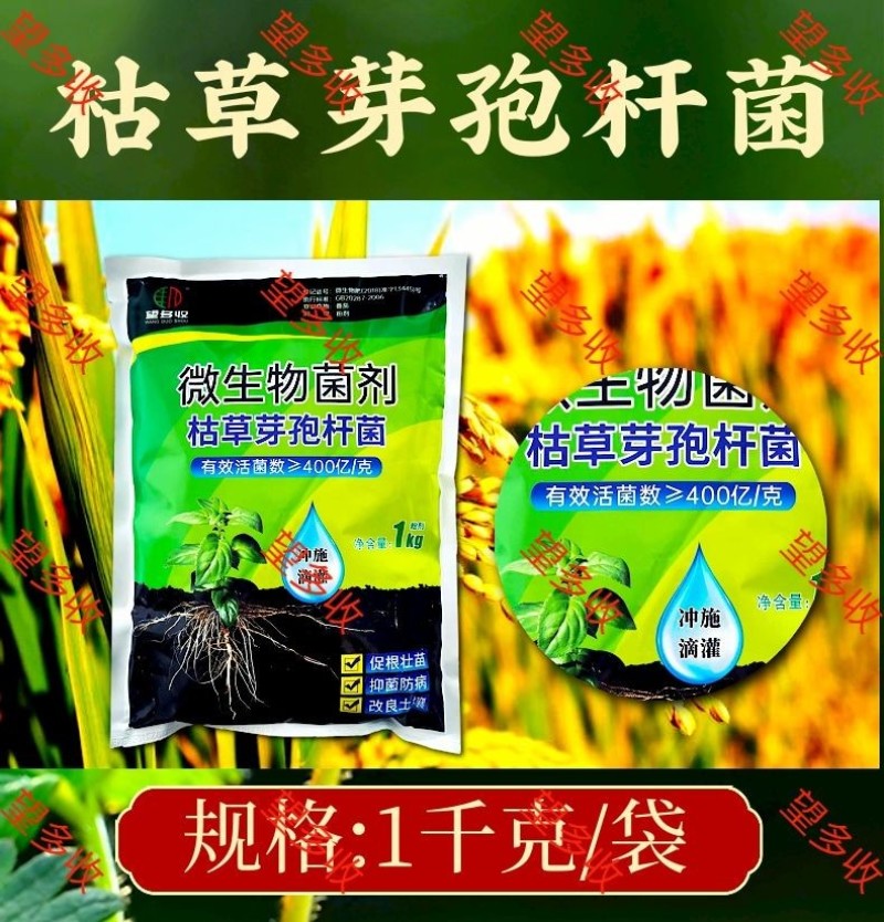 400亿枯草芽孢杆菌抗板结增肥活菌一包2亩地1000克菌