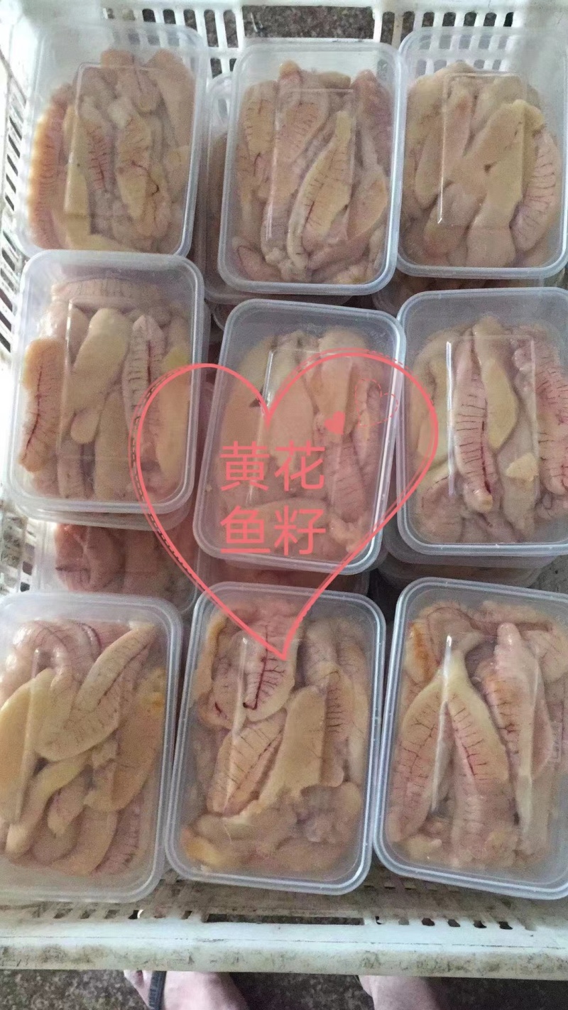 山东精品黄花鱼籽，新鲜保质，品种保证，全国发货欢迎选购