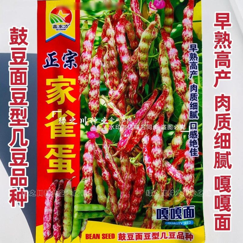 东北正宗家雀蛋豆角种子嘎嘎面肉厚清香小红鱼面豆鼓豆角种籽