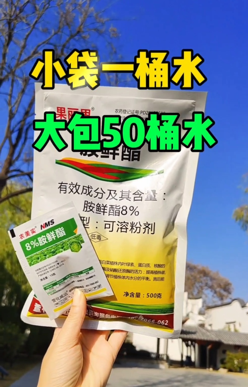 8%胺鲜酯硝钠胺鲜酯抗寒促根绿叶提苗促长植物生长调节剂