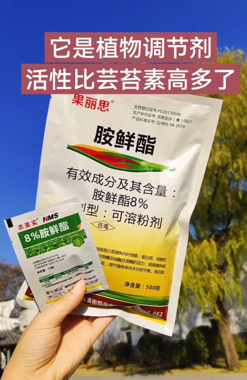 8%胺鲜酯硝钠胺鲜酯抗寒促根绿叶提苗促长植物生长调节剂
