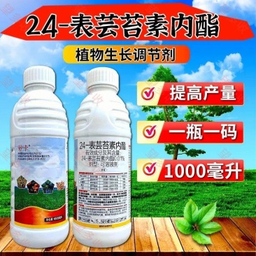 24表芸苔素内酯1升500毫升小袋绿叶提苗生根促长调节剂