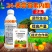 24表芸苔素内酯1升500毫升小袋绿叶提苗生根促长调节剂