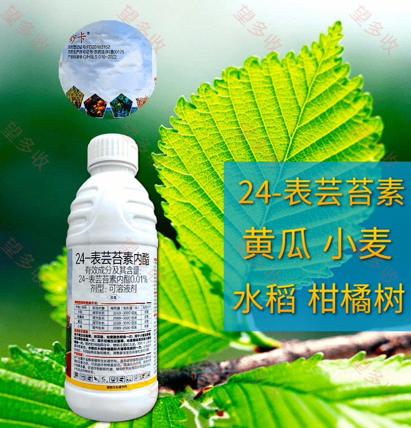 24表芸苔素内酯1升500毫升小袋绿叶提苗生根促长调节剂