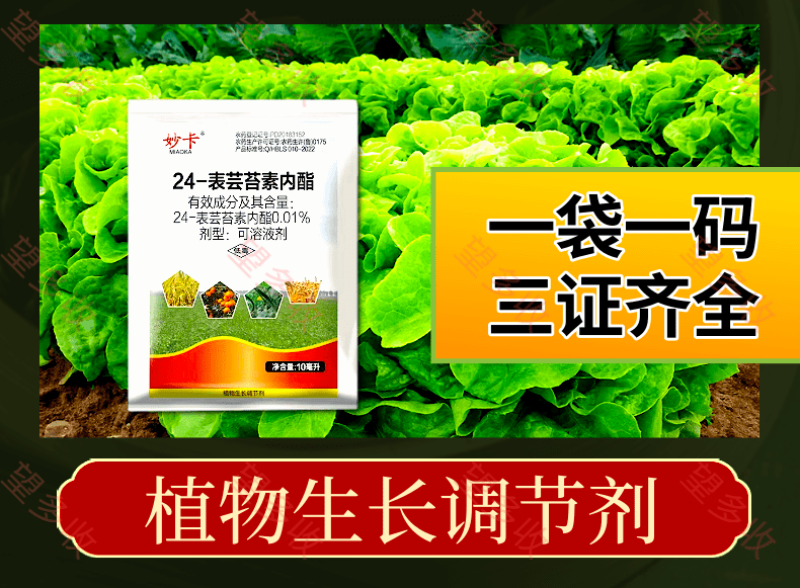 24表芸苔素内酯1升500毫升小袋绿叶提苗生根促长调节剂