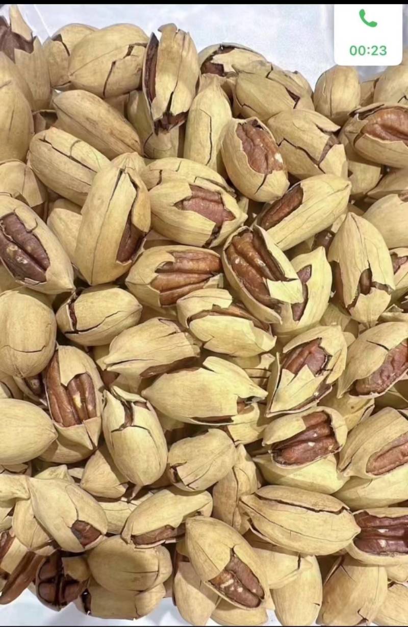 碧根果一手货源大量现货精品没有中间商赚差价大量现货