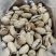 碧根果一手货源大量现货精品没有中间商赚差价大量现货