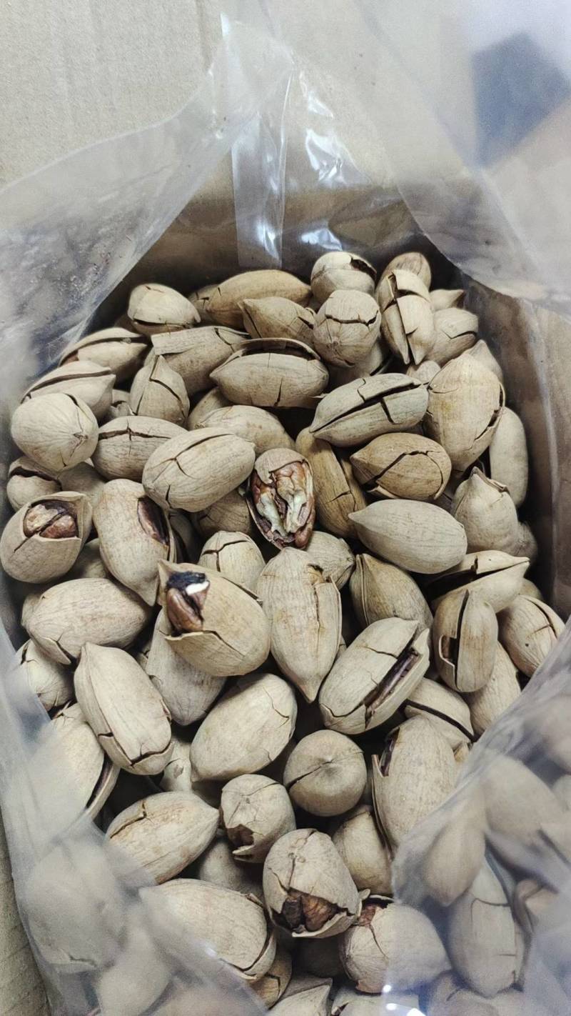 碧根果一手货源大量现货精品没有中间商赚差价大量现货