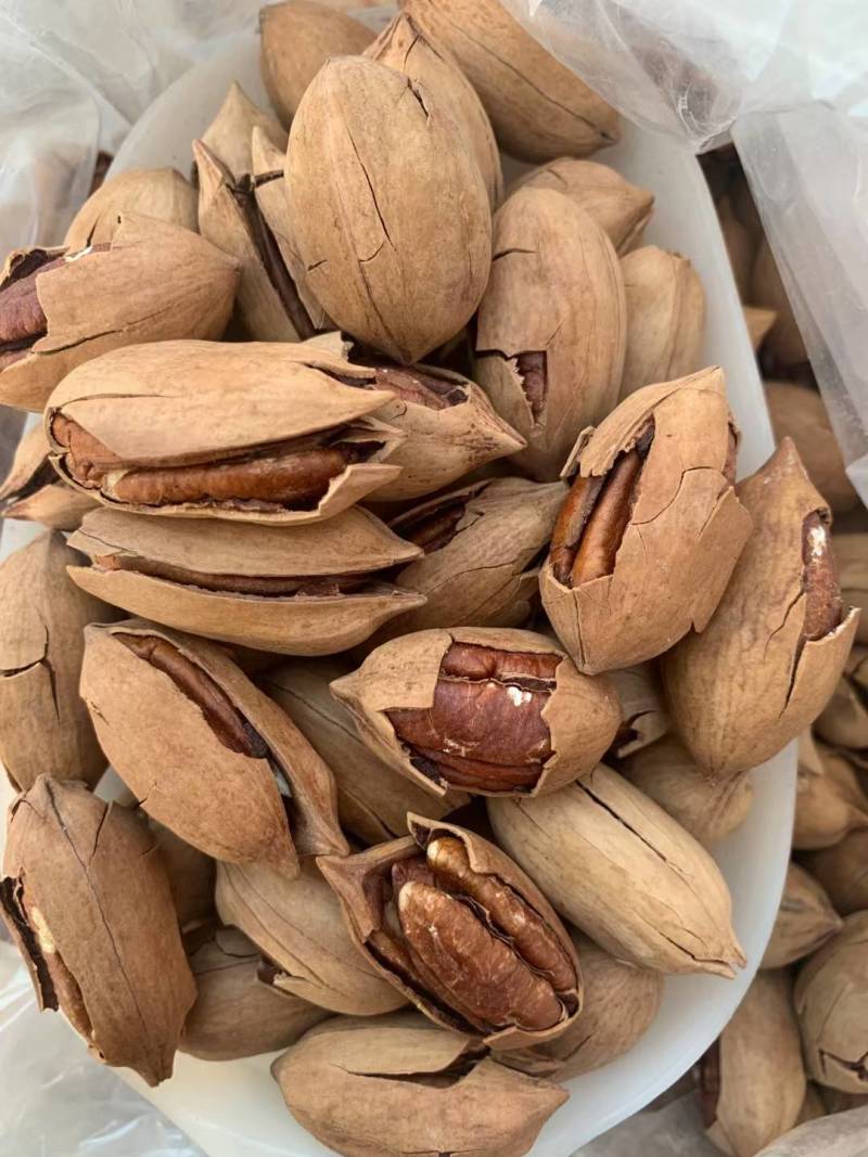 碧根果一手货源大量现货精品没有中间商赚差价大量现货
