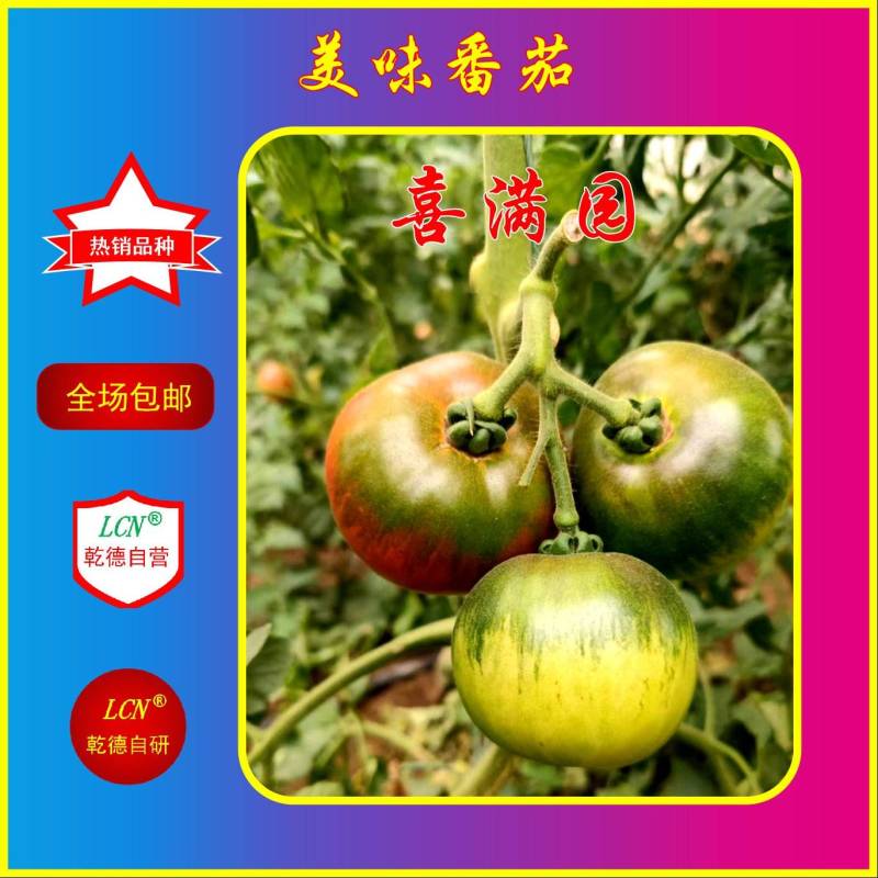 喜满园草莓番茄种子、秋延越冬早春品种、酸甜口感好、热销品