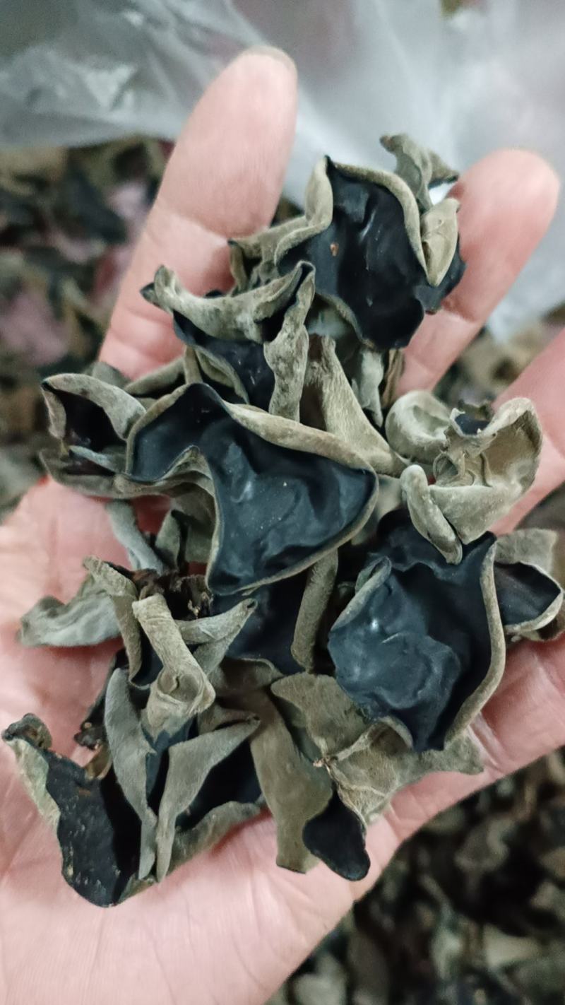 房县黑木耳，基地直发，秋耳