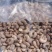 腰果一手货源大量现货产地直发品质保证价格漂亮有售后服务