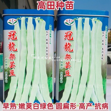 高田架豆种冠龙架芸豆种子早熟白绿条架豆种籽圆扁形扁豆种籽