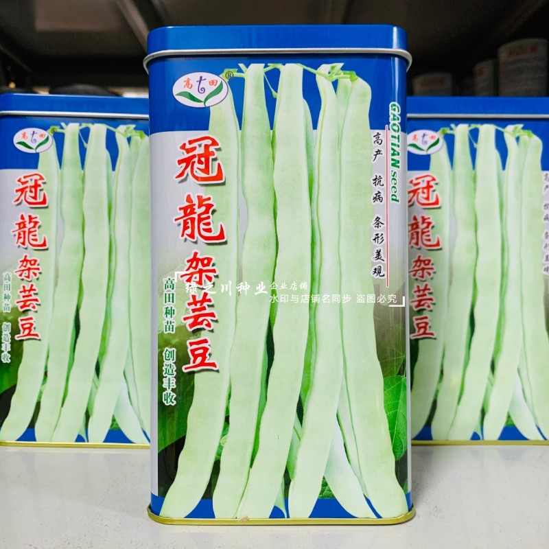 高田架豆种冠龙架芸豆种子早熟白绿条架豆种籽圆扁形扁豆种籽
