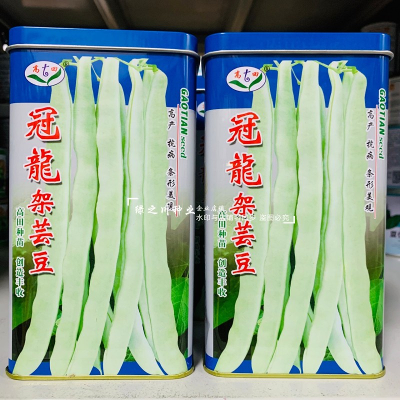 高田架豆种冠龙架芸豆种子早熟白绿条架豆种籽圆扁形扁豆种籽