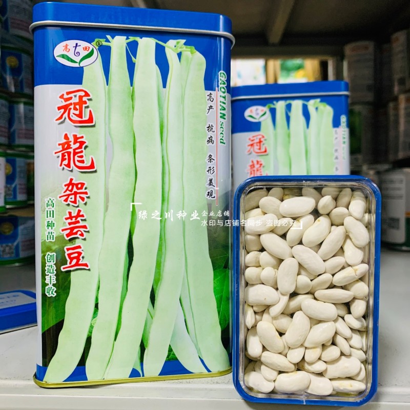高田架豆种冠龙架芸豆种子早熟白绿条架豆种籽圆扁形扁豆种籽