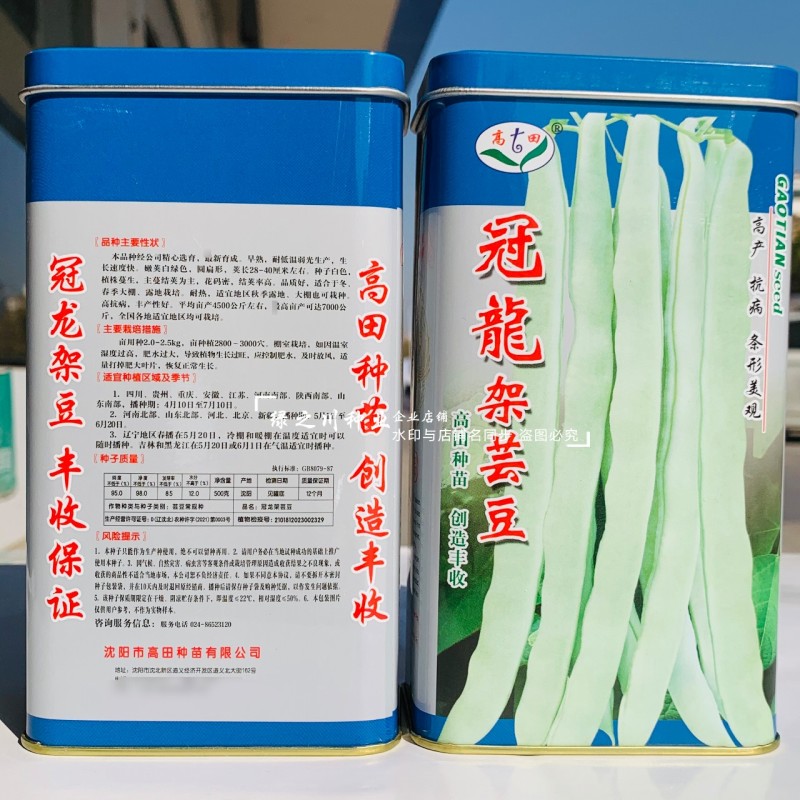 高田架豆种冠龙架芸豆种子早熟白绿条架豆种籽圆扁形扁豆种籽