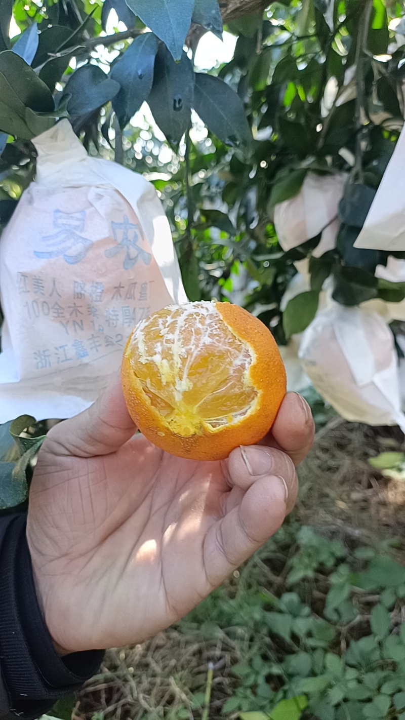 28红美人