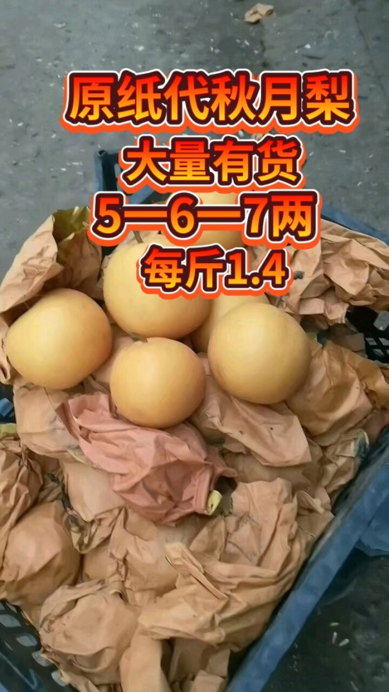 冰糖红梨，丰水梨，表光好，甜度高，脆甜无渣