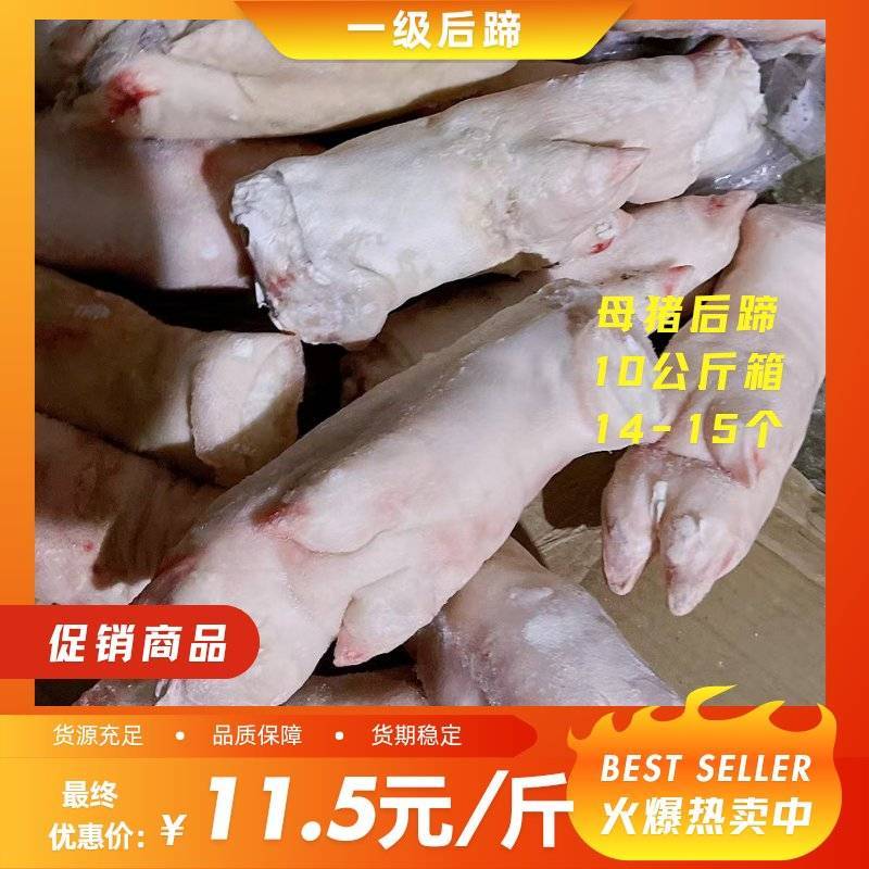 沈阳精品母猪后蹄，猪蹄，工厂直销，保质保量，欢迎咨询选购