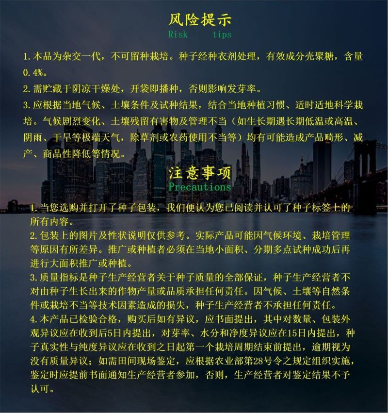 乾德紫娃紫红色樱桃番茄种子早春秋延茬口栽培