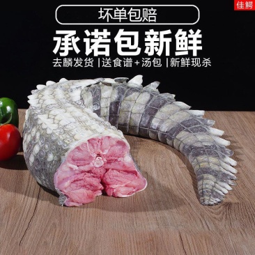 新鲜鳄鱼尾带皮肉现杀鳄鱼人工养殖鳄鱼新鲜肉类食