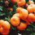 广西砂糖橘纯甜无渣果面干净小叶橘大型平台有优惠