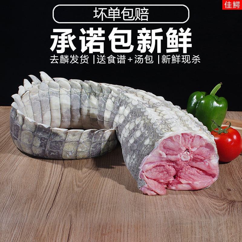 新鲜鳄鱼尾带皮肉现杀鳄鱼人工养殖鳄鱼新鲜肉类食