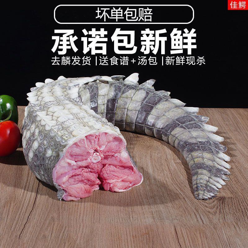 新鲜鳄鱼尾带皮肉现杀鳄鱼人工养殖鳄鱼新鲜肉类食